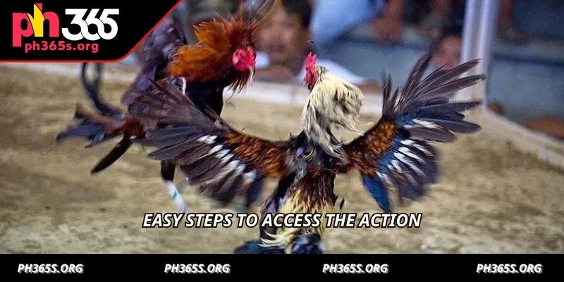 Sabong Arena Live Stream - Unrivaled Action With PH365