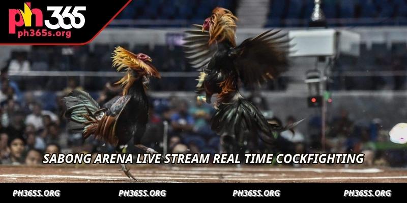 Sabong Arena Live Stream - Unrivaled Action With PH365