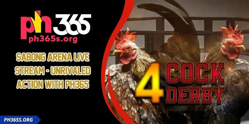 Sabong Arena Live Stream - Unrivaled Action With PH365