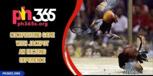 Cockfighting Game With Jackpot - An Exciting Experience