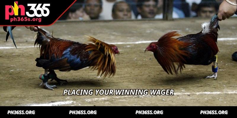 Cockfighting Game With Jackpot - An Exciting Experience