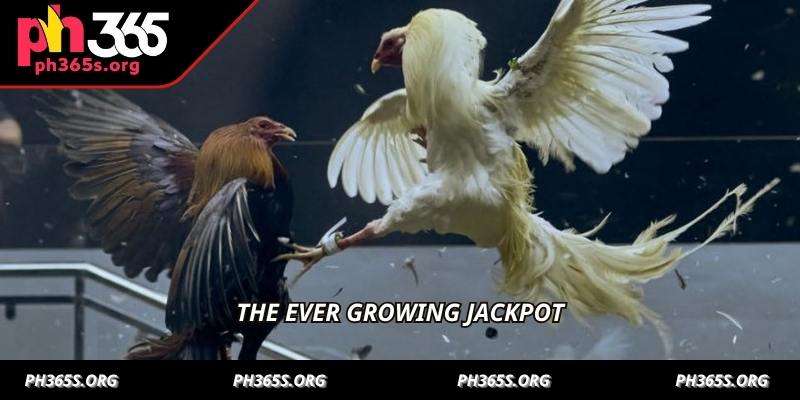 Cockfighting Game With Jackpot - An Exciting Experience