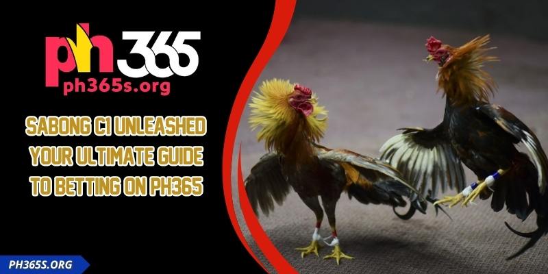 Sabong C1 Unleashed - Your Ultimate Guide To Betting On PH365