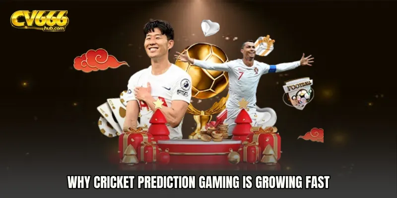 Why Cricket Prediction Gaming Is Growing Fast